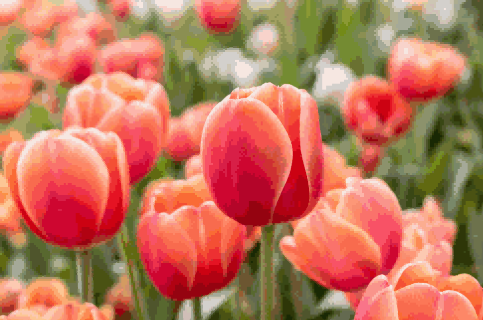 海关数据,evo真人视讯海关数据,荷兰海关数据